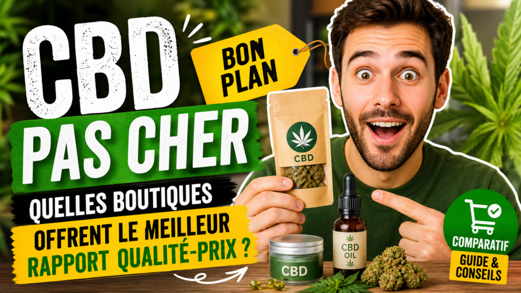 Cbd pas cher : quelles boutiques offrent le meilleur rapport qualité-prix ?