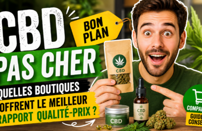 Cbd pas cher : quelles boutiques offrent le meilleur rapport qualité-prix ?